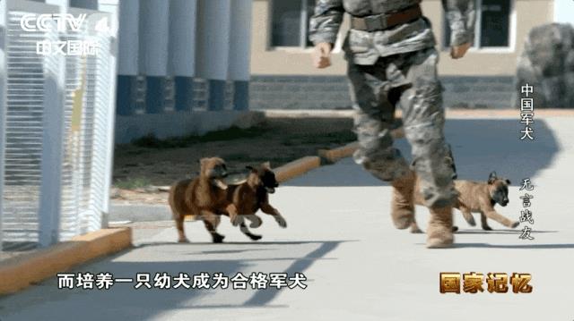 DƬ